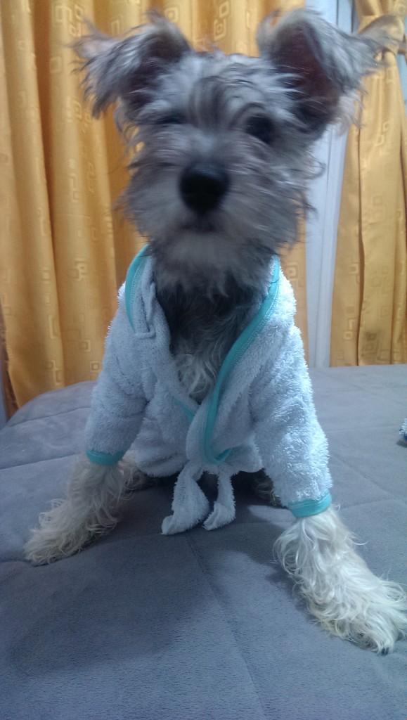 simon en salida de baño sin gorrito